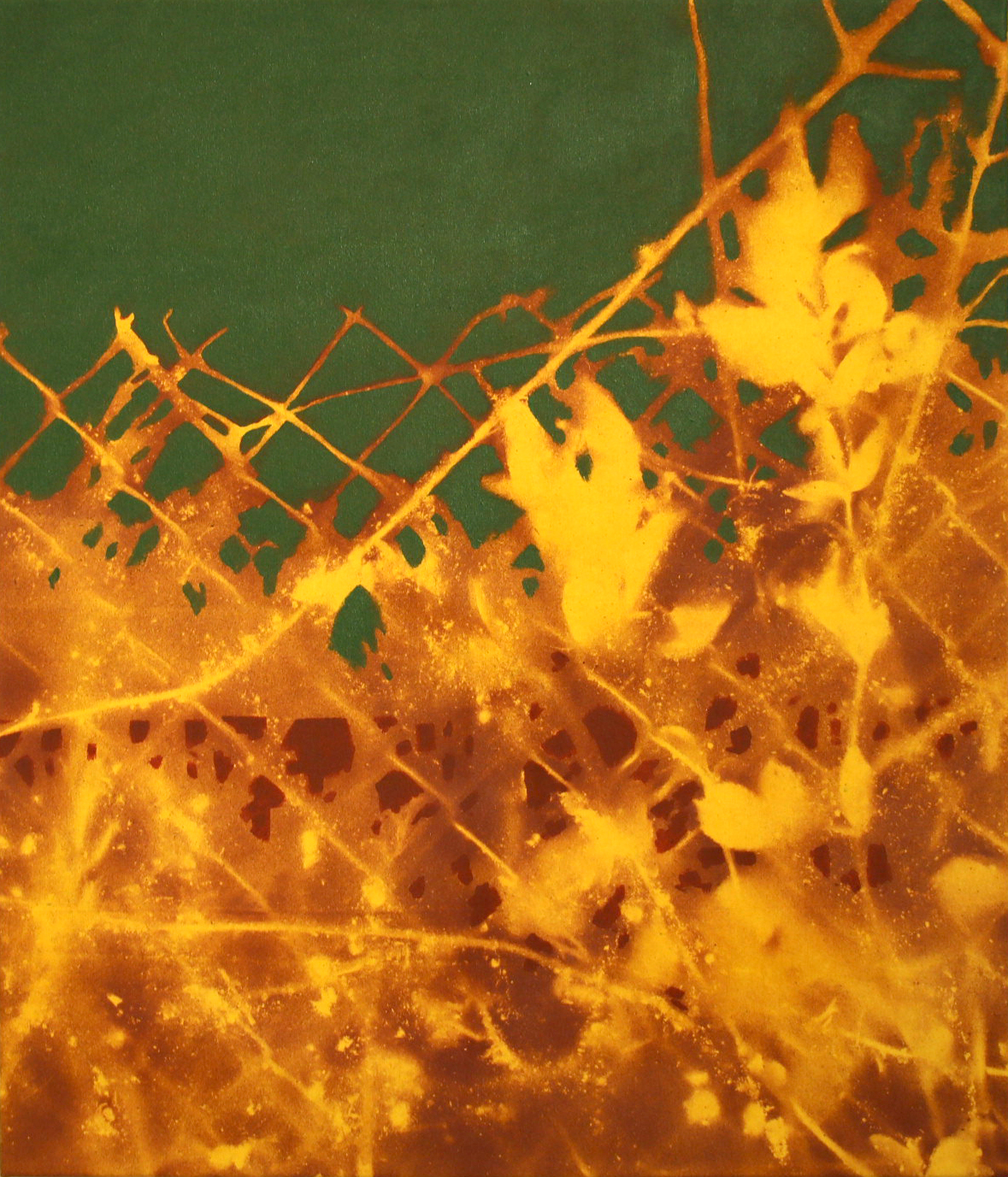 Le bruit des Plantes