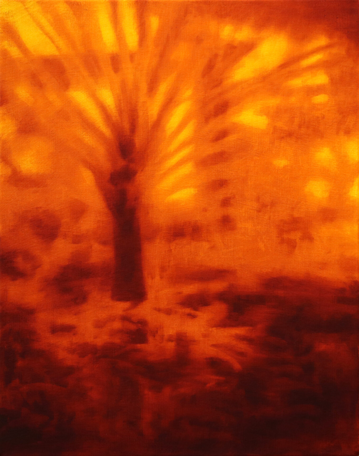 Je me souviens de ce jour là Diego Herman